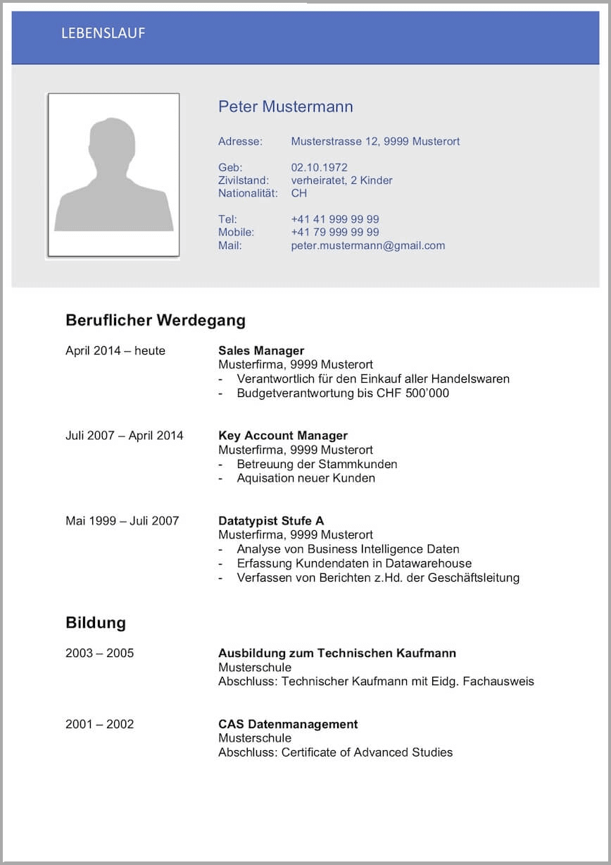 Lebenslauf Vorlagen & Muster (Schweiz) - kostenlose Word-Vorlage