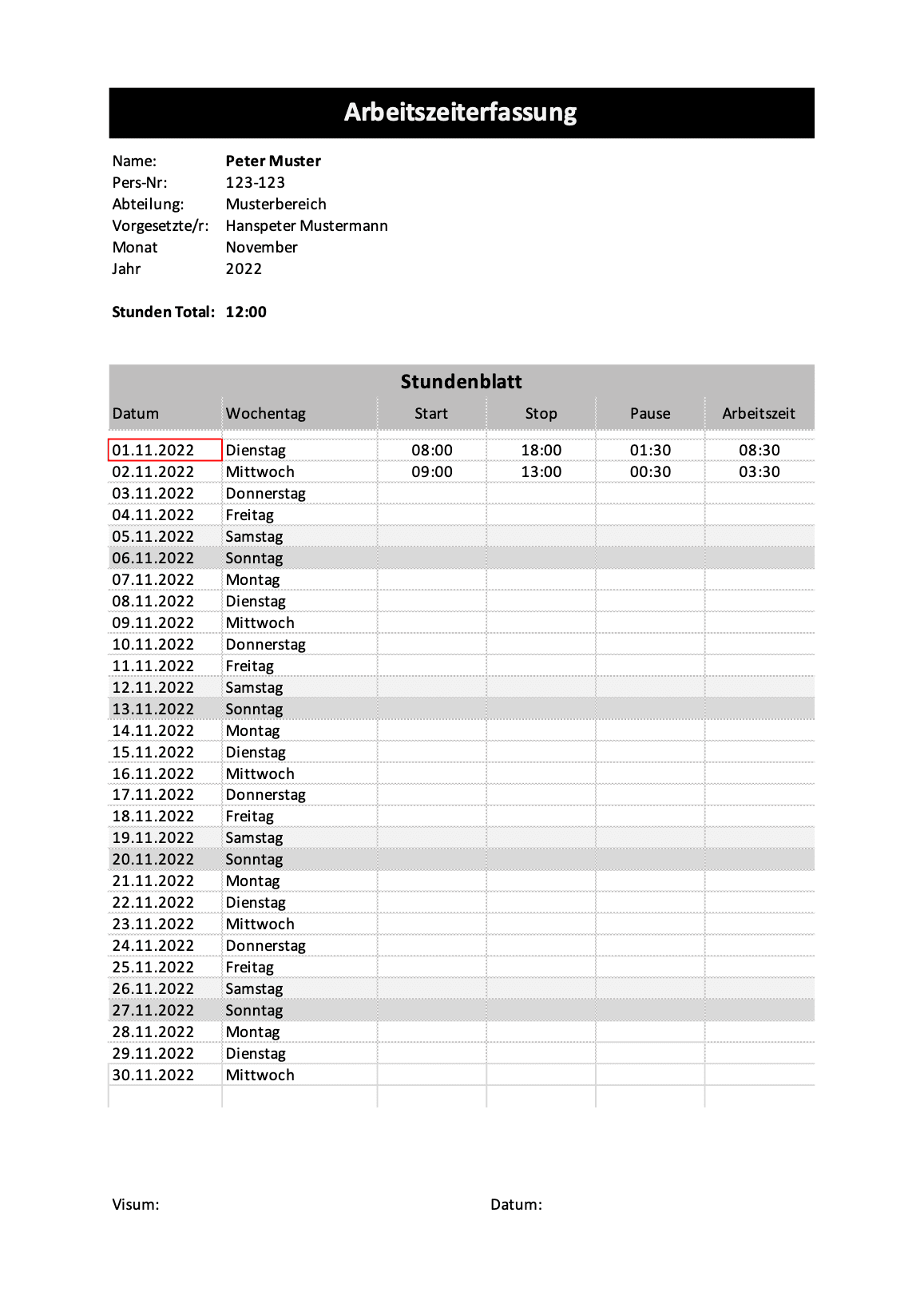 Zeiterfassung Excel Schweiz